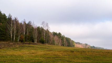 Wzgórza Sokólskie - Podlaska wieś - Krajobraz Podlasia, Polska © podlaski49