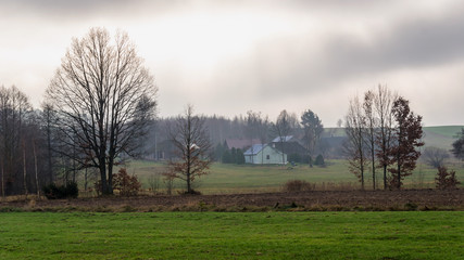 Wzgórza Sokólskie - Podlaska wieś - Krajobraz Podlasia, Polska © podlaski49