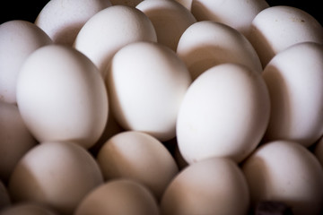 Conjunto de huevos blancos de gallina amontonados