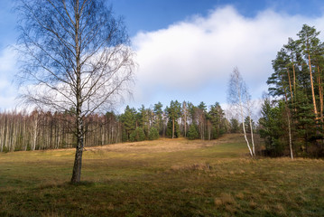 Wzgórza Sokólskie - Podlaska wieś - Krajobraz Podlasia, Polska © podlaski49