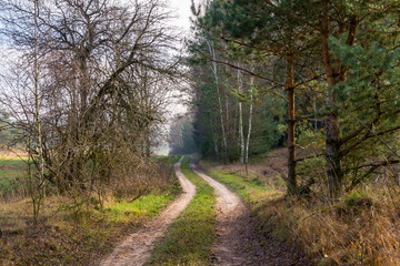 Wzgórza Sokólskie - Podlaska wieś - Krajobraz Podlasia, Polska © podlaski49