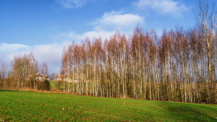 Wzgórza Sokólskie - Podlaska wieś - Krajobraz Podlasia, Polska © podlaski49