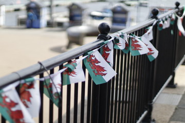 Welsh flags