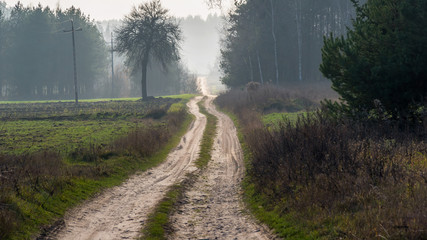 Wzgórza Sokólskie - Podlaska wieś - Krajobraz Podlasia, Polska © podlaski49