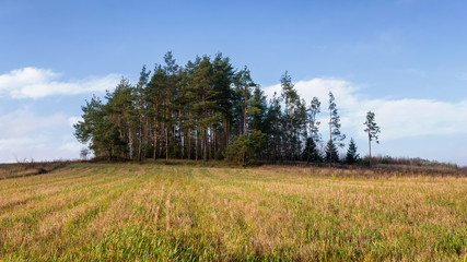 Wzgórza Sokólskie - Podlaska wieś - Krajobraz Podlasia, Polska © podlaski49