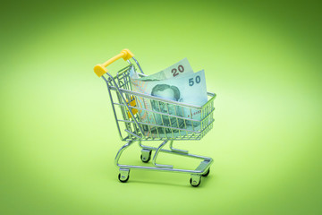 Miniature shopping trolley with  Thailand money. The concept of shopping and the power of the economy. 