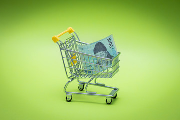 Miniature shopping trolley with  Korean money, Won. The concept of shopping and the power of the economy. 