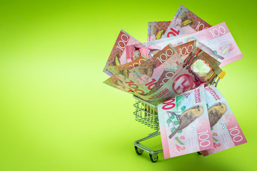 Miniature shopping trolley with New Zealand  hundred dollar bills. The concept of shopping and the power of the economy