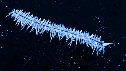 Crystals like a centipede caterpillar