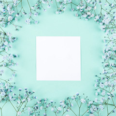 Beautiful flower background of blue gypsophila flowers.