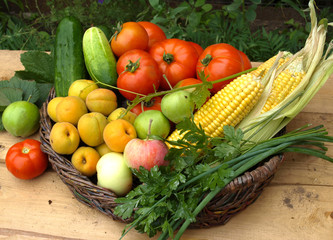 Vegetables in a wicker basket on the background of the vine and green foliage