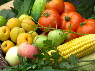 Fototapeta na wymiar Harvest fruits and vegetables from your garden