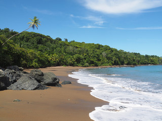 Tropical Beach Costa Rica