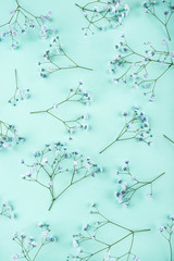 Beautiful flower background of blue gypsophila flowers.