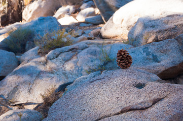 stones in the mountains