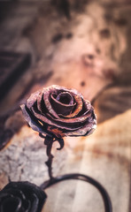 iron rose