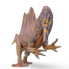 spinosaurus front view in white background
