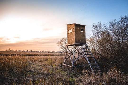 Picture of a hunting tower or a raised hide or blind on a field at dawn.