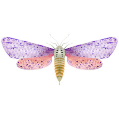 Watercolor purple butterfly