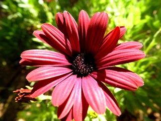 Obraz premium carretera, cielo, autopista, paisaje, viajando, nube, asfaltar, naturaleza, azul, transportación, conductos, tempestad, montagna, horizonte, campesina, camino, viaje, verano, conducción, campestre, ca