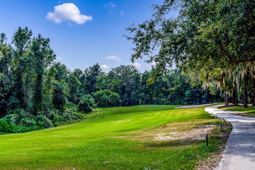 Fototapeta na wymiar Nice golf course surrounded by trees