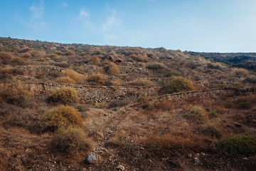 Santorini island autumn hills. Volcano soil natural landscape. Rows of stones.
