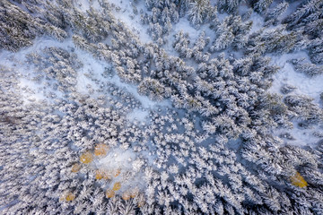 Aerial view of snowy pine trees and a little meandering stream in Stubai Valley, Tirol, Austria