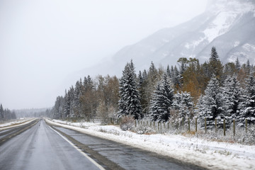 Beautiful landscape of Canadian countryside during snow storm