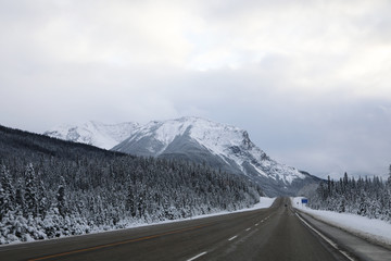 Beautiful landscape of Canadian countryside during snow storm