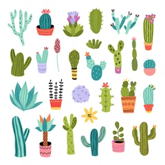 Foto op Canvas Cactus vector illustrations set. Cute colorful succulents and cacti hand drawn doodles on white background. Botanical collection of houseplants © redchocolatte