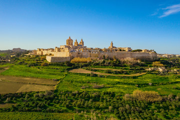 Mdina city - old capital of Malta. Aerial nature landscape, sunny day, blue sly, winter, a lot of green grass, field. Malta island
