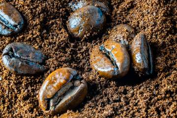 Macro photo of the coffee beans 