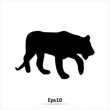 Tiger icon. Vector silhouette illustration isolated on white background. Big wild cat. Eps 10