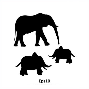 Elephant icon. Two small Elephant. Vector silhouette illustration isolated on white background. EPS10
