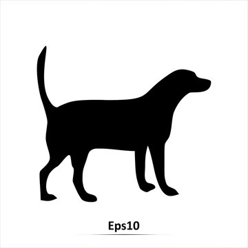 Dog icon. Vector illustration. Eps10