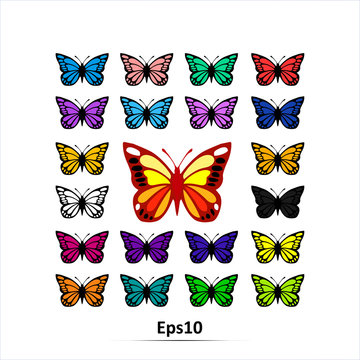 Big collection of colorful butterflies. Vector