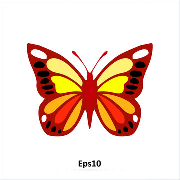 Color butterfly design. Vector silhouette illustration isolated on white background. EPS10