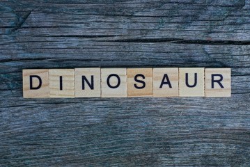 Fototapeta premium word dinosaur made from wooden letters lies on a gray table
