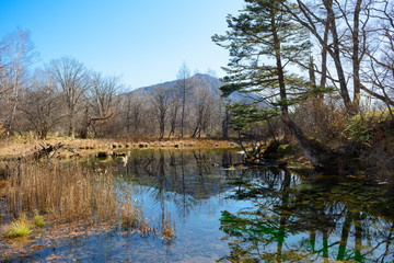 Senjogahara marshland
