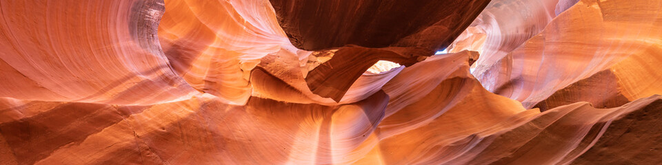 Panoramic Canyon Antelope Collection - abstract, background