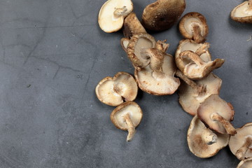 Overhead view of Shiitake Mushrooms on grey background