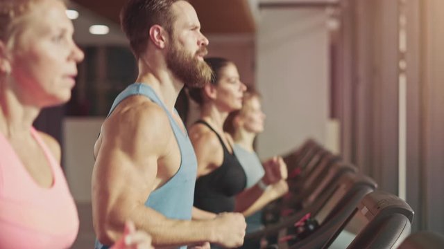 Group of Athletic People Running on Treadmills in a Row, Doing Fitness Exercise