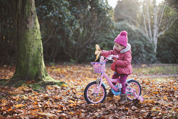 Fototapeta na wymiar toddler girl ridding bicycle in winter countryside park,Northern Ireland