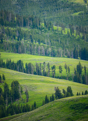 Obraz premium Layers of rolling hills in Yellowstone