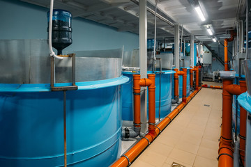 Modern fish farm with closed water circulation supply