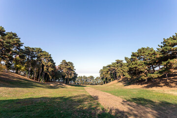Autumn park in Balatonboglar
