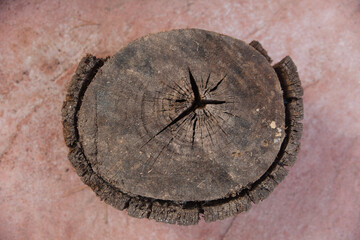 Sawed old wooden log