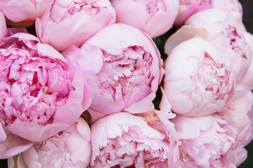 Bouquet of white pink peonies closeup, flowers background