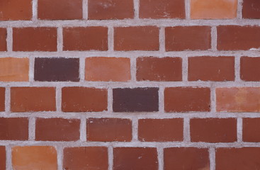 WoodTexture City Urban