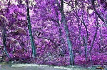 Beautiful fantasy infrared shots of palm trees on the seychelles islands